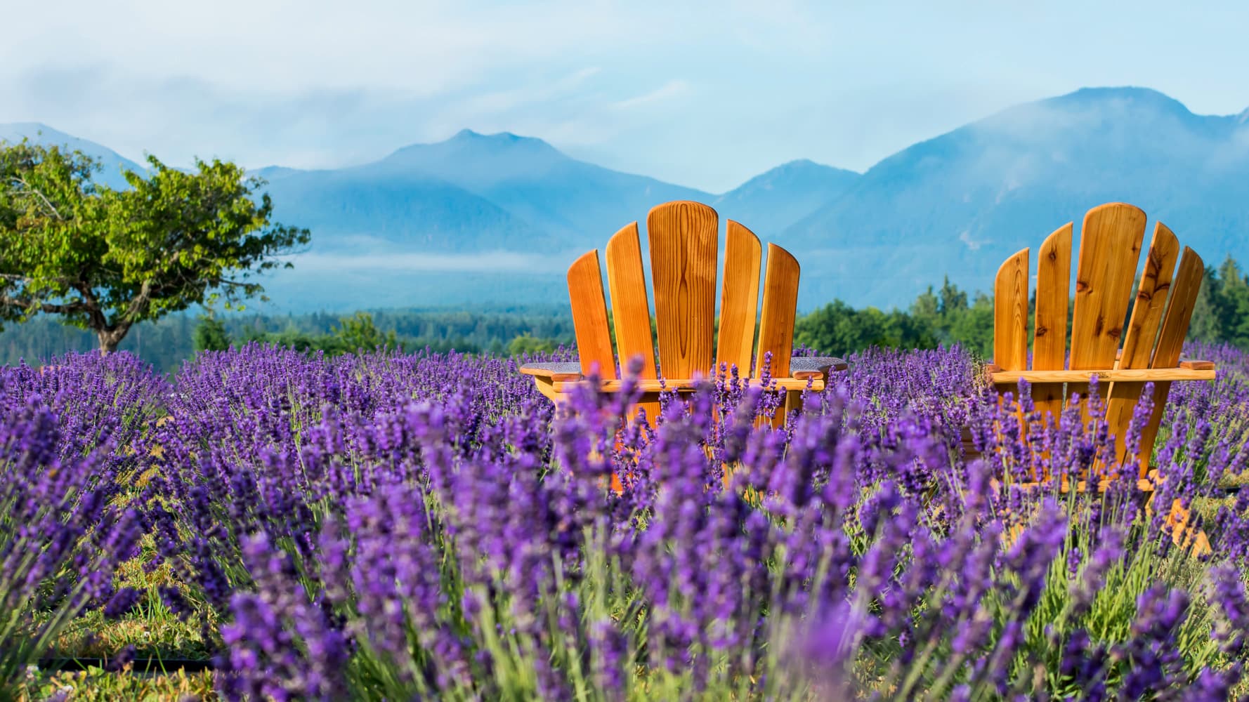 Elegant floral wedding banner with romantic flowers
